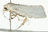  ( - BIOUG00952-A05)  @12 [ ] CreativeCommons - Attribution (2011) CBG Photography Group Centre for Biodiversity Genomics