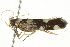  ( - BIOUG00957-D09)  @13 [ ] CreativeCommons - Attribution (2011) CBG Photography Group Centre for Biodiversity Genomics