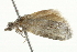  ( - BIOUG00957-F09)  @12 [ ] CreativeCommons - Attribution (2011) CBG Photography Group Centre for Biodiversity Genomics