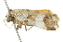 ( - BIOUG00957-G04)  @13 [ ] CreativeCommons - Attribution (2011) CBG Photography Group Centre for Biodiversity Genomics
