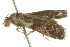  ( - BIOUG00958-A09)  @12 [ ] CreativeCommons - Attribution (2011) CBG Photography Group Centre for Biodiversity Genomics