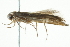  ( - BIOUG00960-B01)  @13 [ ] CreativeCommons - Attribution (2011) CBG Photography Group Centre for Biodiversity Genomics