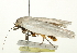  ( - BIOUG00961-B03)  @12 [ ] CreativeCommons - Attribution (2011) CBG Photography Group Centre for Biodiversity Genomics