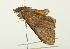  ( - BIOUG00961-C04)  @13 [ ] CreativeCommons - Attribution (2011) CBG Photography Group Centre for Biodiversity Genomics