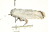  ( - BIOUG00961-F01)  @12 [ ] CreativeCommons - Attribution (2011) CBG Photography Group Centre for Biodiversity Genomics