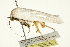  ( - BIOUG00961-F11)  @12 [ ] CreativeCommons - Attribution (2011) CBG Photography Group Centre for Biodiversity Genomics
