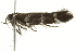  ( - BIOUG00960-H02)  @12 [ ] CreativeCommons - Attribution (2011) CBG Photography Group Centre for Biodiversity Genomics
