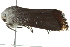  ( - BIOUG00963-C09)  @12 [ ] CreativeCommons - Attribution (2011) CBG Photography Group Centre for Biodiversity Genomics