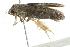  ( - BIOUG00980-E07)  @12 [ ] CreativeCommons - Attribution (2011) CBG Photography Group Centre for Biodiversity Genomics