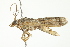  ( - BIOUG00982-A04)  @12 [ ] CreativeCommons - Attribution (2011) CBG Photography Group Centre for Biodiversity Genomics
