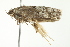  ( - BIOUG00982-D07)  @12 [ ] CreativeCommons - Attribution (2011) CBG Photography Group Centre for Biodiversity Genomics