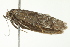  ( - BIOUG00982-G10)  @12 [ ] CreativeCommons - Attribution (2011) CBG Photography Group Centre for Biodiversity Genomics
