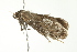  ( - BIOUG00982-H06)  @12 [ ] CreativeCommons - Attribution (2011) CBG Photography Group Centre for Biodiversity Genomics