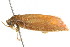  ( - BIOUG00984-C08)  @13 [ ] CreativeCommons - Attribution (2011) CBG Photography Group Centre for Biodiversity Genomics