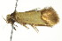  ( - BIOUG00984-E12)  @13 [ ] CreativeCommons - Attribution (2011) CBG Photography Group Centre for Biodiversity Genomics