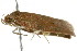  ( - BIOUG00984-H07)  @13 [ ] CreativeCommons - Attribution (2011) CBG Photography Group Centre for Biodiversity Genomics