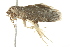  ( - BIOUG00985-F05)  @12 [ ] CreativeCommons - Attribution (2011) CBG Photography Group Centre for Biodiversity Genomics