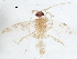  ( - BIOUG37513-D03)  @12 [ ] CreativeCommons - Attribution (2018) CBG Photography Group Centre for Biodiversity Genomics