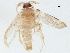  ( - BIOUG37513-F02)  @12 [ ] CreativeCommons - Attribution (2018) CBG Photography Group Centre for Biodiversity Genomics
