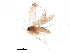  ( - BIOUG37514-B12)  @12 [ ] CreativeCommons - Attribution (2018) CBG Photography Group Centre for Biodiversity Genomics
