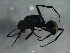  ( - BIOUG37521-G11)  @12 [ ] CreativeCommons - Attribution (2018) CBG Photography Group Centre for Biodiversity Genomics