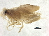  ( - BIOUG37597-B01)  @12 [ ] CreativeCommons - Attribution (2018) CBG Photography Group Centre for Biodiversity Genomics