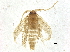  ( - BIOUG37597-G06)  @12 [ ] CreativeCommons - Attribution (2018) CBG Photography Group Centre for Biodiversity Genomics