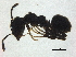  ( - BIOUG37598-B07)  @11 [ ] CreativeCommons - Attribution (2018) CBG Photography Group Centre for Biodiversity Genomics