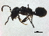  ( - BIOUG37598-F02)  @11 [ ] CreativeCommons - Attribution (2018) CBG Photography Group Centre for Biodiversity Genomics