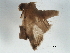  ( - BIOUG37598-H02)  @12 [ ] CreativeCommons - Attribution (2018) CBG Photography Group Centre for Biodiversity Genomics