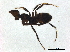  ( - BIOUG37599-D04)  @11 [ ] CreativeCommons - Attribution (2018) CBG Photography Group Centre for Biodiversity Genomics