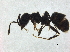 ( - BIOUG37599-E09)  @11 [ ] CreativeCommons - Attribution (2018) CBG Photography Group Centre for Biodiversity Genomics