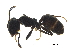  ( - BIOUG37601-C03)  @11 [ ] CreativeCommons - Attribution (2018) CBG Photography Group Centre for Biodiversity Genomics