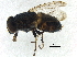  ( - BIOUG37601-G03)  @11 [ ] CreativeCommons - Attribution (2018) CBG Photography Group Centre for Biodiversity Genomics