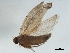  ( - BIOUG37602-A06)  @11 [ ] CreativeCommons - Attribution (2018) CBG Photography Group Centre for Biodiversity Genomics