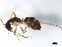  ( - BIOUG37602-B07)  @13 [ ] CreativeCommons - Attribution (2018) CBG Photography Group Centre for Biodiversity Genomics