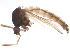  ( - BIOUG37602-E07)  @11 [ ] CreativeCommons - Attribution (2018) CBG Photography Group Centre for Biodiversity Genomics