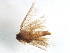  ( - BIOUG37602-H02)  @12 [ ] CreativeCommons - Attribution (2018) CBG Photography Group Centre for Biodiversity Genomics