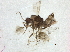  ( - BIOUG37603-G02)  @11 [ ] CreativeCommons - Attribution (2018) CBG Photography Group Centre for Biodiversity Genomics