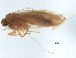  ( - BIOUG37604-C07)  @11 [ ] CreativeCommons - Attribution (2018) CBG Photography Group Centre for Biodiversity Genomics