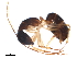  ( - BIOUG37607-H06)  @13 [ ] CreativeCommons - Attribution (2018) CBG Photography Group Centre for Biodiversity Genomics