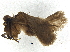  ( - BIOUG37610-D04)  @12 [ ] CreativeCommons - Attribution (2018) CBG Photography Group Centre for Biodiversity Genomics