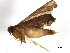  ( - BIOUG37614-C04)  @12 [ ] CreativeCommons - Attribution (2018) CBG Photography Group Centre for Biodiversity Genomics