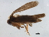  ( - BIOUG37614-E11)  @12 [ ] CreativeCommons - Attribution (2018) CBG Photography Group Centre for Biodiversity Genomics