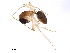  ( - BIOUG37616-A07)  @13 [ ] CreativeCommons - Attribution (2018) CBG Photography Group Centre for Biodiversity Genomics