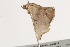  ( - BIOUG37460-A01)  @12 [ ] CreativeCommons - Attribution (2018) CBG Photography Group Centre for Biodiversity Genomics
