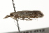  ( - BIOUG37461-D12)  @11 [ ] CreativeCommons - Attribution (2018) CBG Photography Group Centre for Biodiversity Genomics