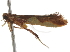  ( - BIOUG37461-F06)  @11 [ ] CreativeCommons - Attribution (2018) CBG Photography Group Centre for Biodiversity Genomics