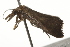  ( - BIOUG37463-A10)  @11 [ ] CreativeCommons - Attribution (2018) CBG Photography Group Centre for Biodiversity Genomics