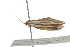  ( - BIOUG37463-G12)  @11 [ ] CreativeCommons - Attribution (2018) CBG Photography Group Centre for Biodiversity Genomics